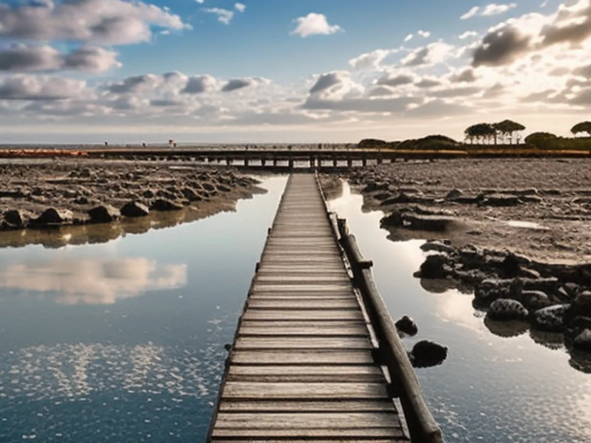 Tips for Reducing Travel Time:
