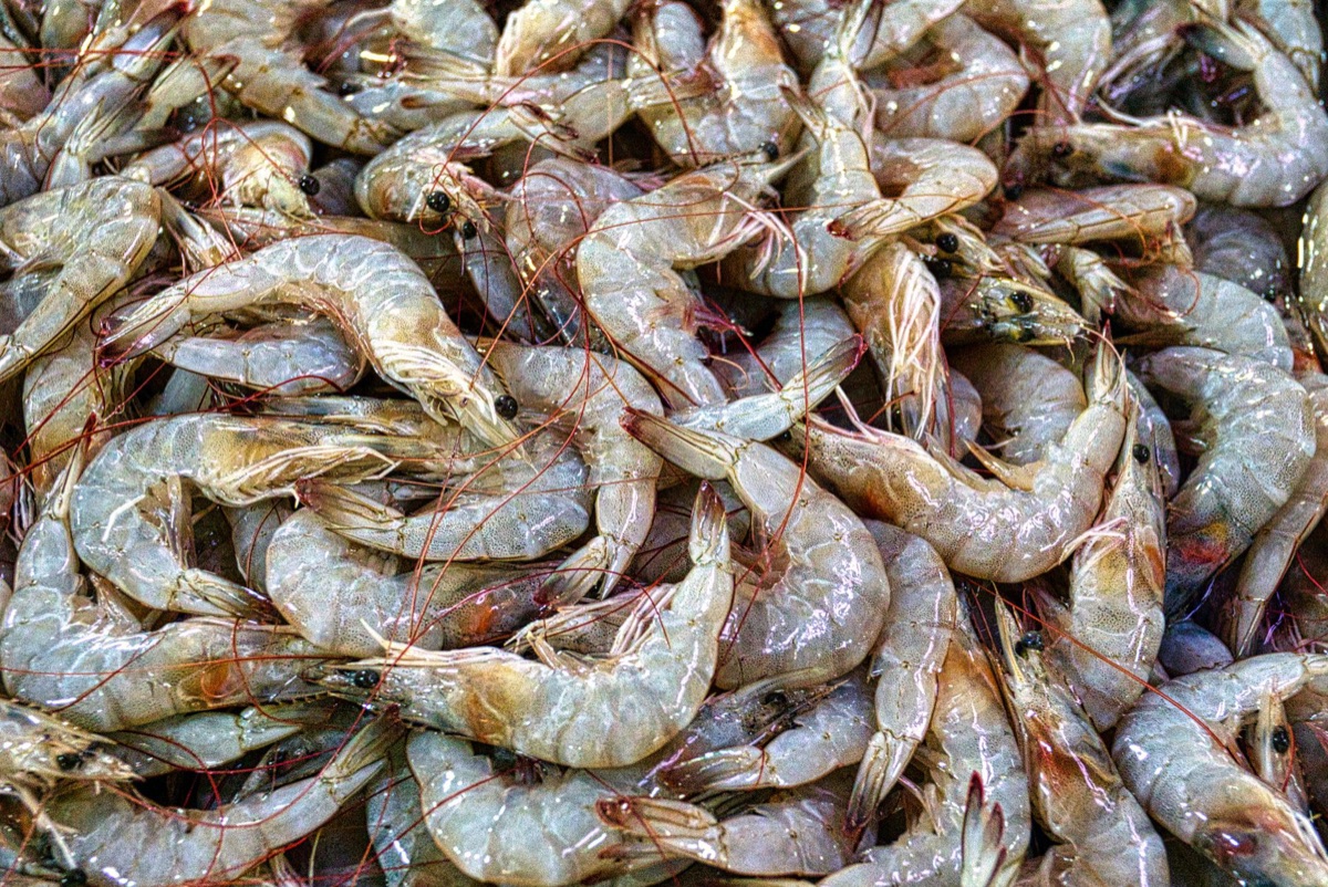 Gourmet-Präsentation von Jeju Red Banded Lobster.