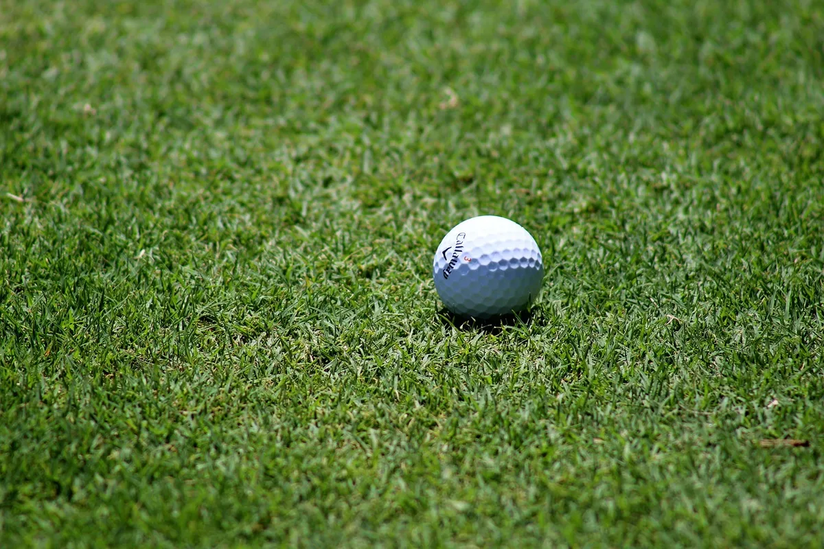 golf, golf ball, golf course, grass, nature, sport