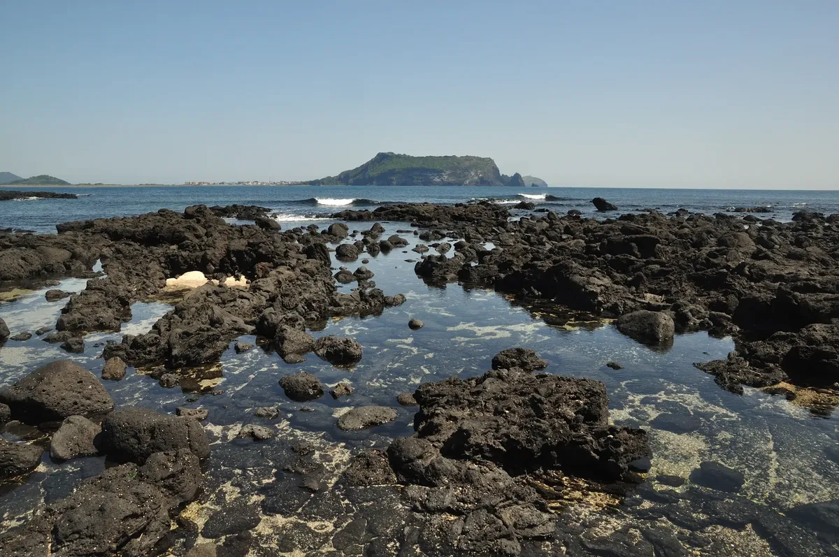 濟州島南韓海岸線旁的粗礪黑色火山岩風景
