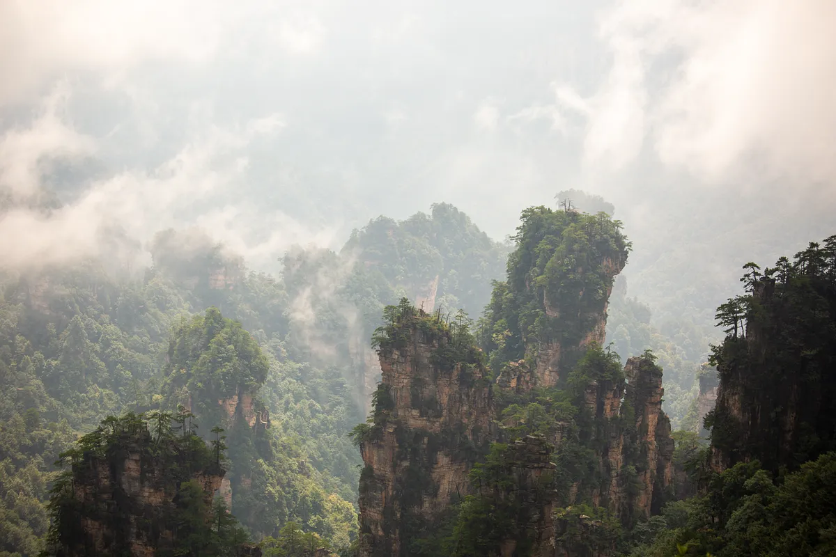 自然、山巒、霧氣、森林、樹木、張家界、岩石構造、國家公園、中國、霧氣、岩石、自然風景、旅遊、平靜、荒野、遺跡