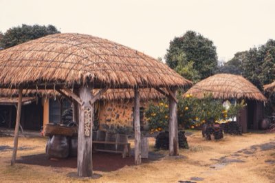 Guide cuisine locale de Jeju pour découvrir les trésors cachés