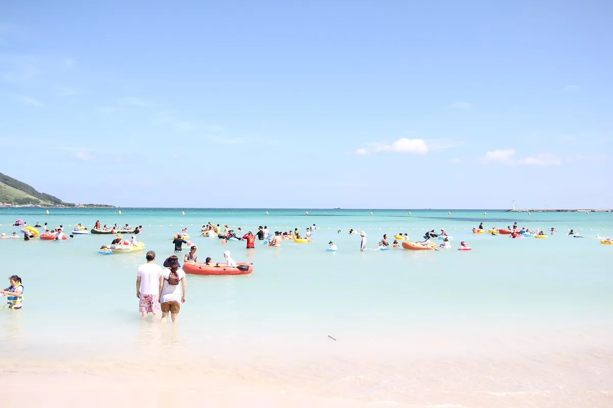 jeju island, cooperation, beach, island, nature, jeju island sea, summer, ocean, people, swimming